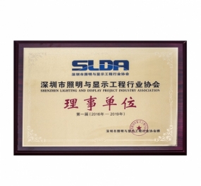 Shenzhen lighting and display engineering industry association governing unit