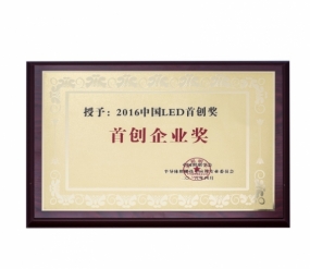 2016 China LED initiative enterprise award